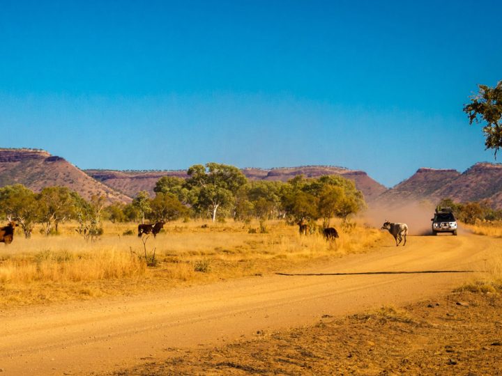 Get the most out of your trip with a Broome Day Tour