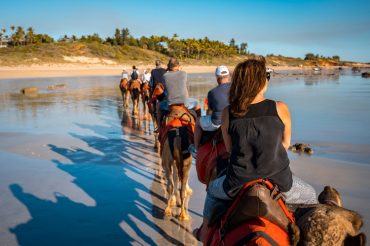 Reasons to Consider Tours From Broome